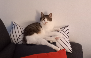Mia