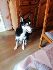 Marley