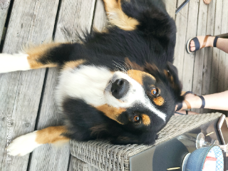 Saïko