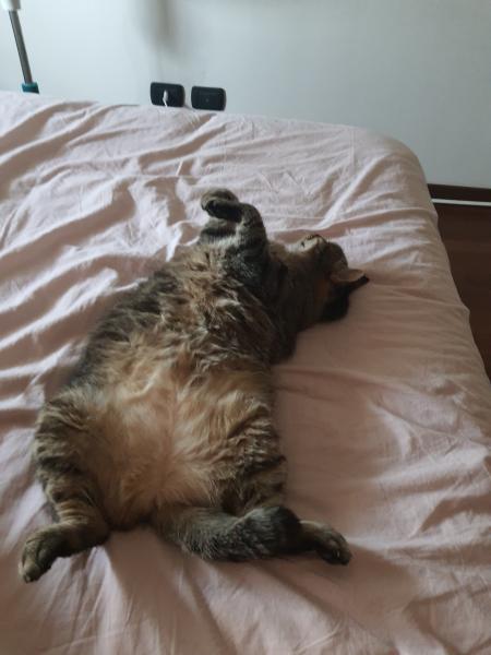 Photo de Isi
