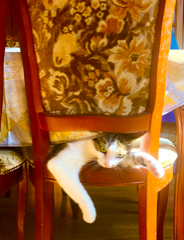Verlaine