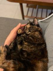 Mimi
