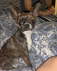Keko