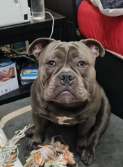Ragnar
