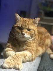 Twix