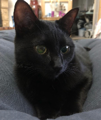MIKI
