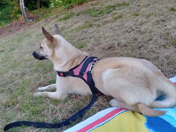 Photo de Jazz