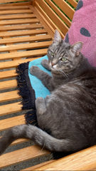Kira