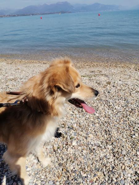 Photo de Roky