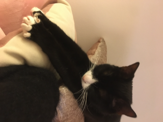 Mimi
