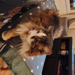 Tina
