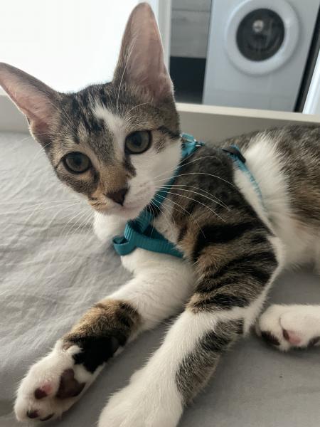 Photo de Kara