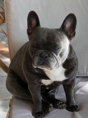 Nina