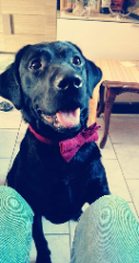 Oslo