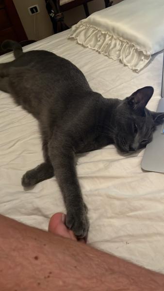 Photo de Ludovico