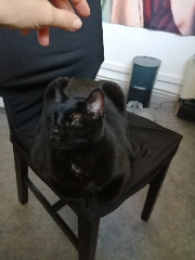 Paulo