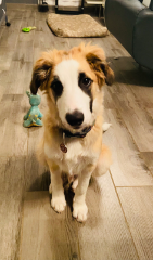 Max