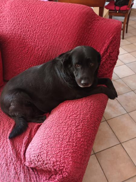Photo de Perla