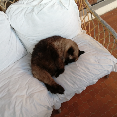 Charlie