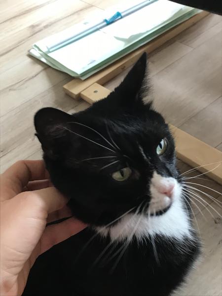Oliver