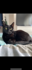 Kira