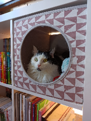 Yuki