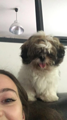 Oward