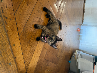 Meki