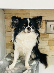 Jax