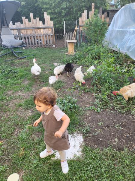 Babette, Bernadette, Ginger, Marie -France