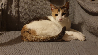 Maki