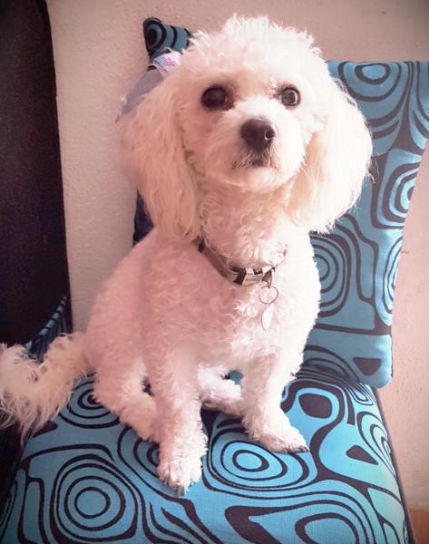 Nena