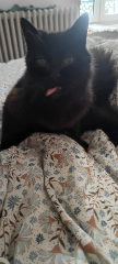 Titou