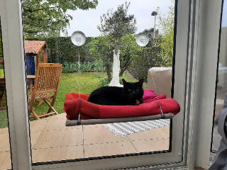 Onyx