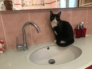 Nilou