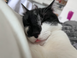 Kiss