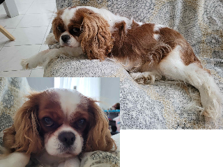 Pixel