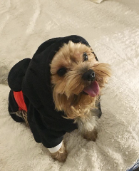 Minky