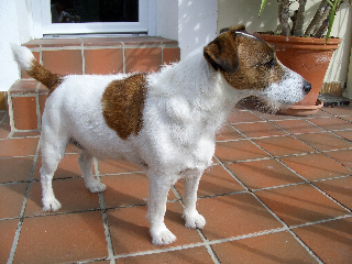 Eros