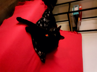 Oscar