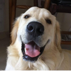 Marley
