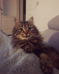 Winnie