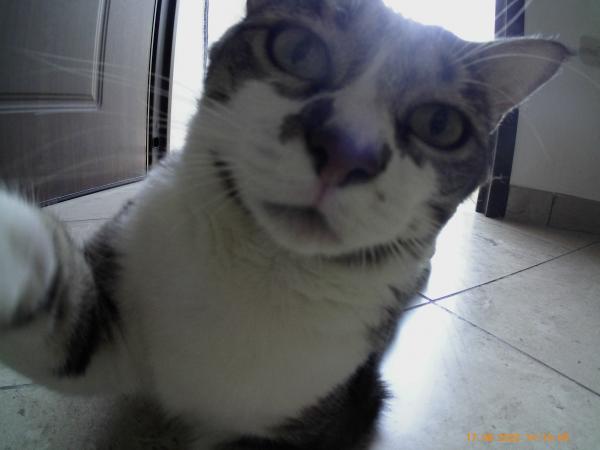 Photo de Emi