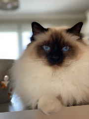 Oskar
