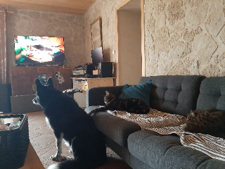 Gaïa