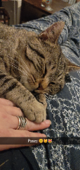 titou