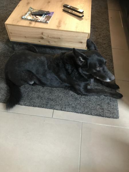 Nina