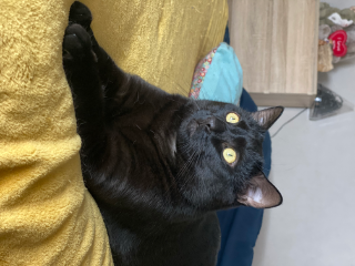 Zeus