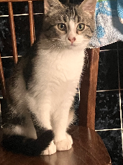 LULU