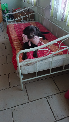 Pépite